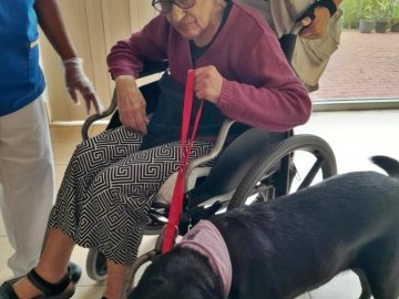 Os nossos dias correm muito melhor quando recebemos a visita da Escola de Cães-guia para Cegos.